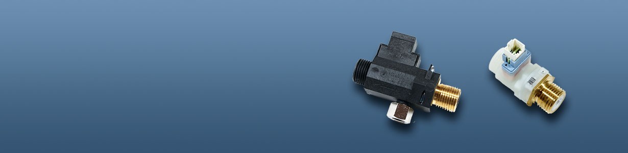 Flow Switches for Boilers | Online Sales